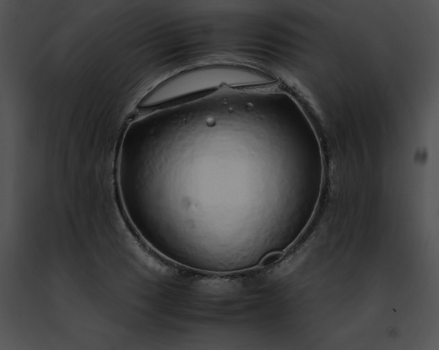 X0000091491033200708301931