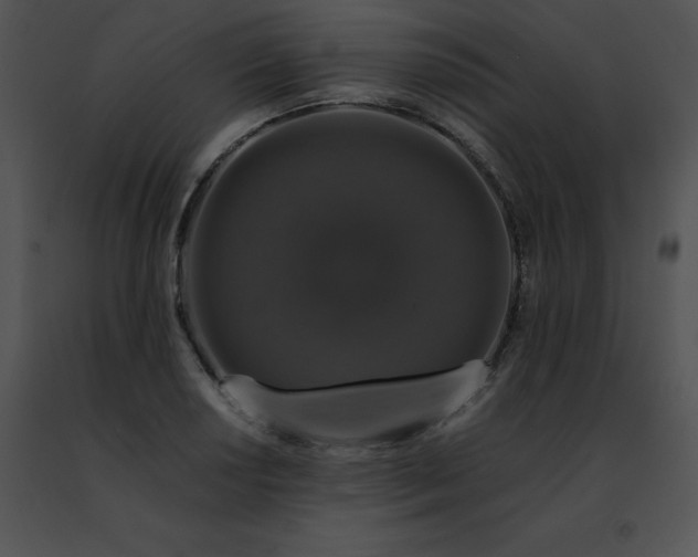 X0000091491034200708301931