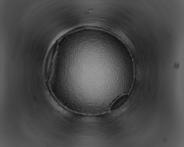 X0000091491036200708301931