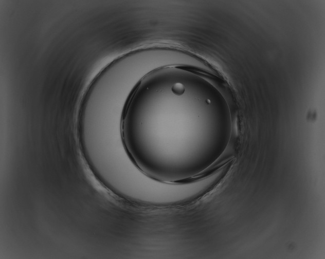 X0000091491038200708301931