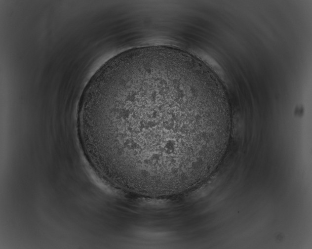 X0000091491039200708301931