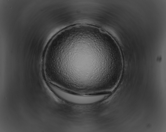 X0000091491040200708301931