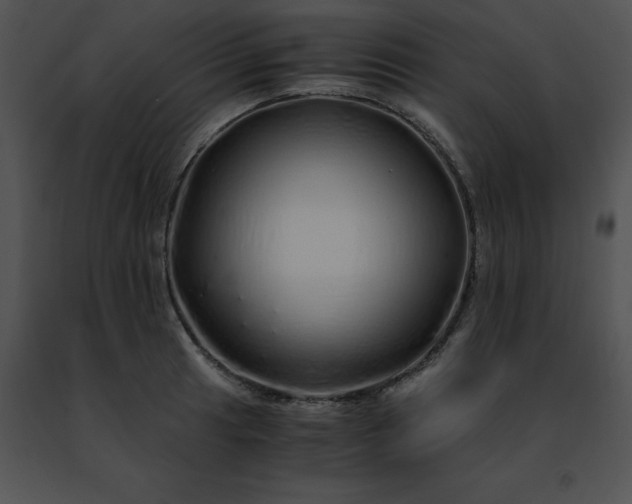 X0000091491041200708301931