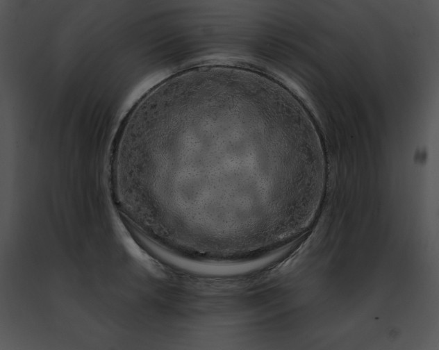 X0000091491042200708301931