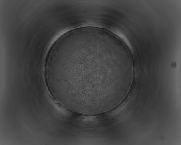 X0000091491043200708301931