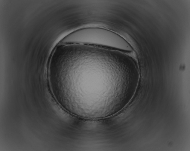 X0000091491044200708301931