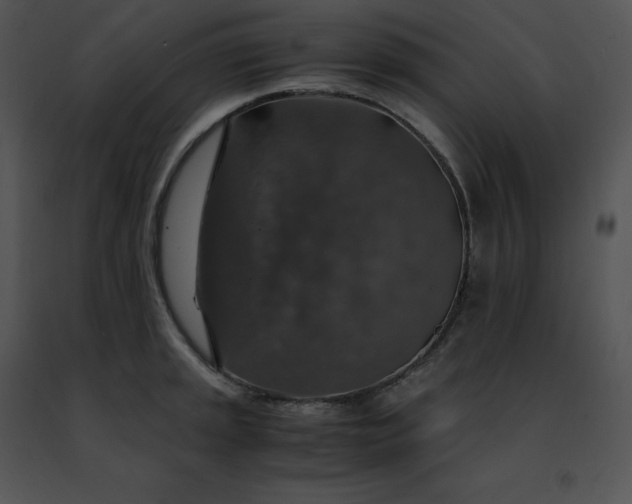 X0000091491045200708301932