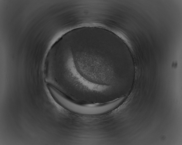 X0000091491046200708301932