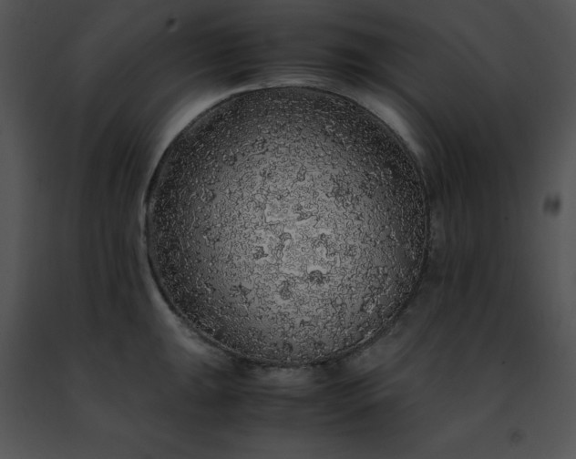 X0000091491047200708301932