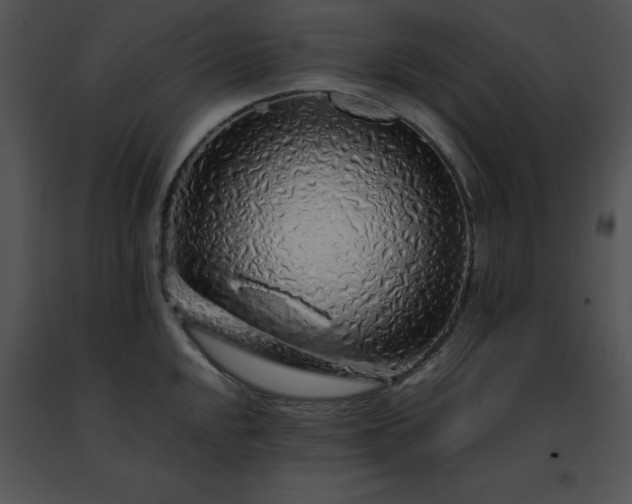 X0000091491048200708301932