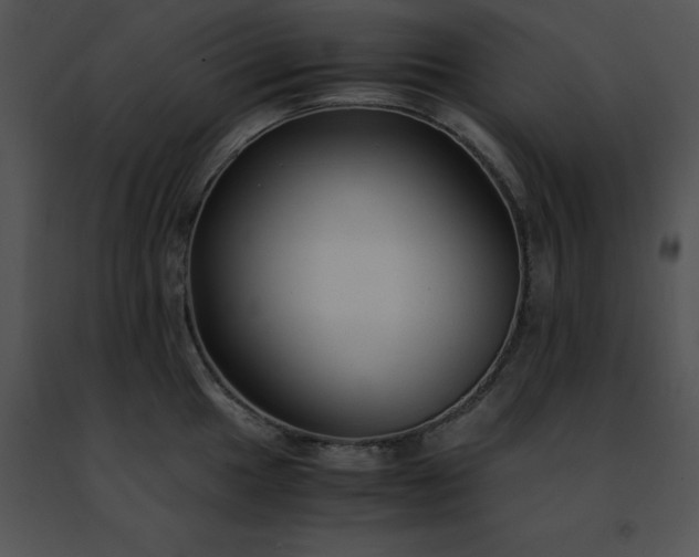 X0000091491049200708301932