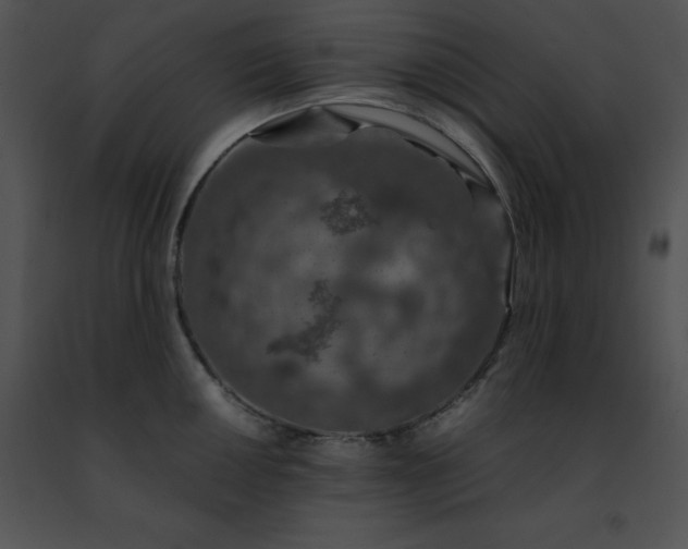 X0000091491050200708301932