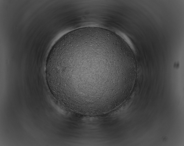 X0000091491051200708301932