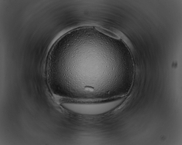 X0000091491052200708301932