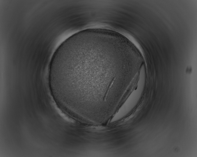 X0000091491053200708301932