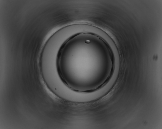 X0000091491054200708301932