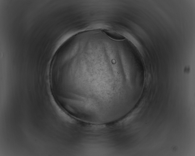 X0000091491055200708301932