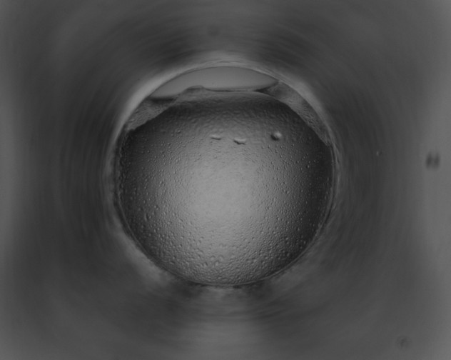 X0000091491056200708301932