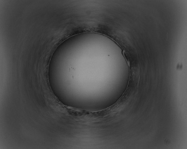 X0000091491057200708301931