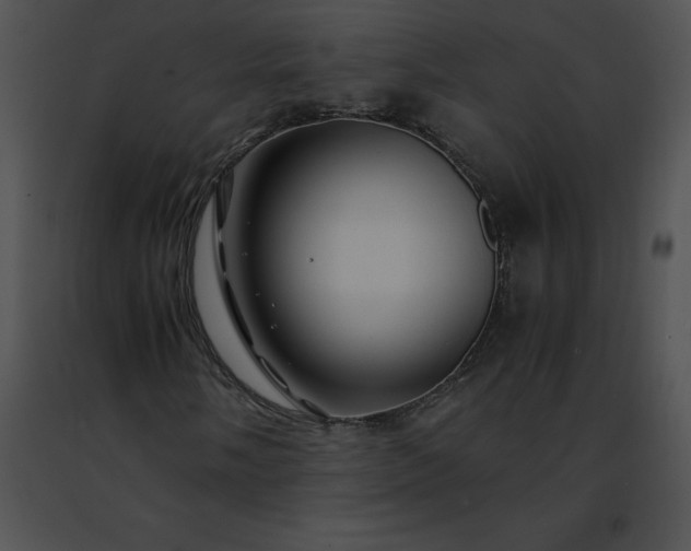 X0000091491058200708301931