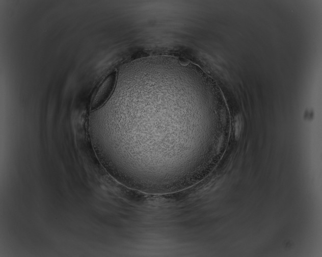 X0000091491059200708301931