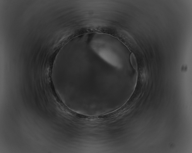 X0000091491060200708301931