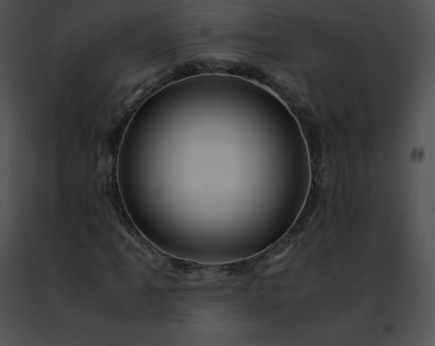 X0000091491061200708301931