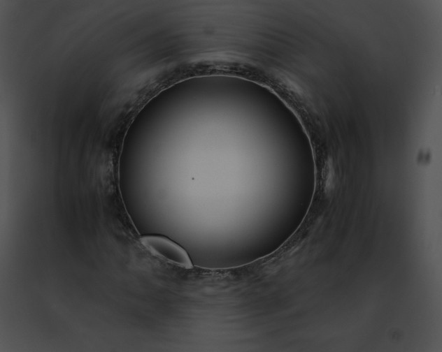 X0000091491062200708301931