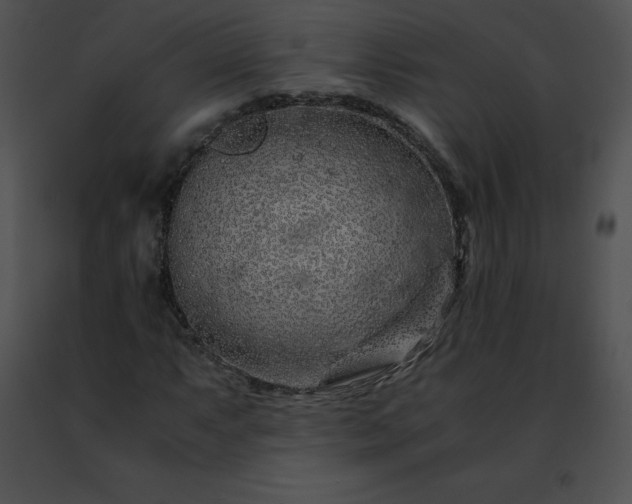 X0000091491063200708301931