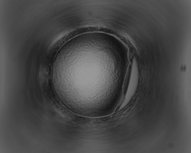 X0000091491064200708301931