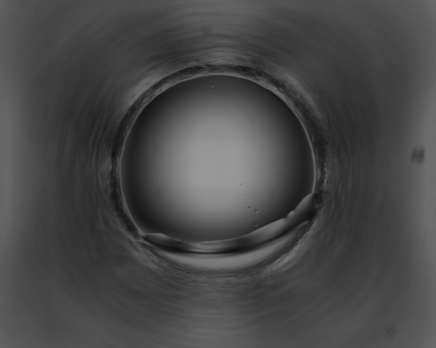 X0000091491065200708301931