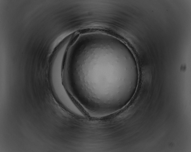 X0000091491066200708301931