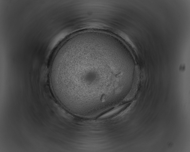 X0000091491067200708301931