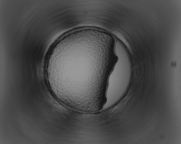 X0000091491068200708301931