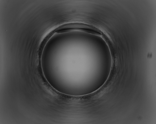 X0000091491069200708301931