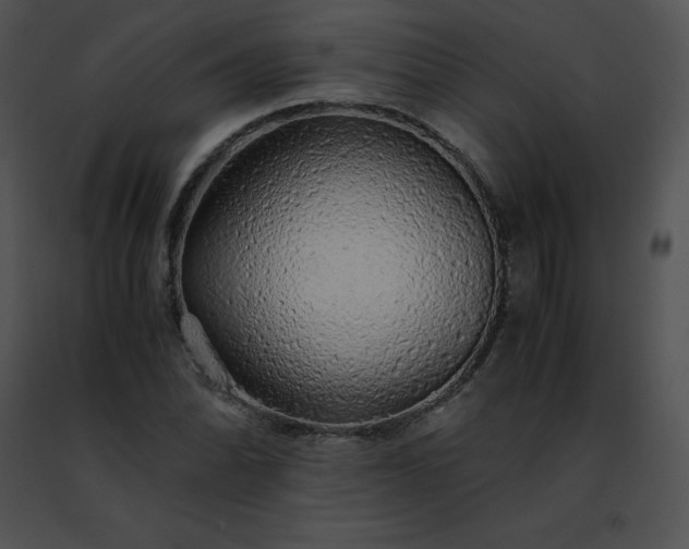 X0000091491070200708301931