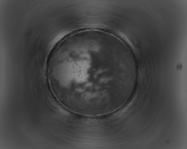 X0000091491071200708301931