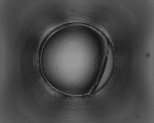 X0000091491072200708301931