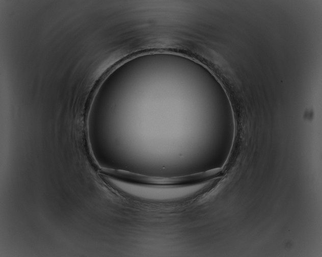 X0000091491073200708301931