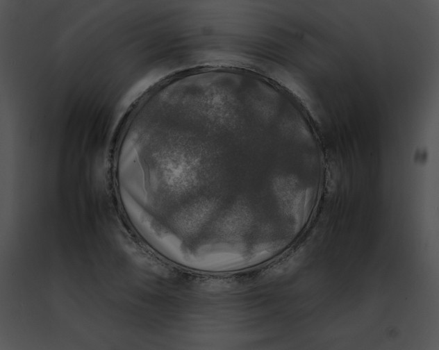 X0000091491074200708301931