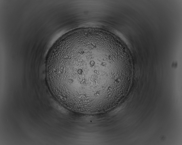 X0000091491075200708301931