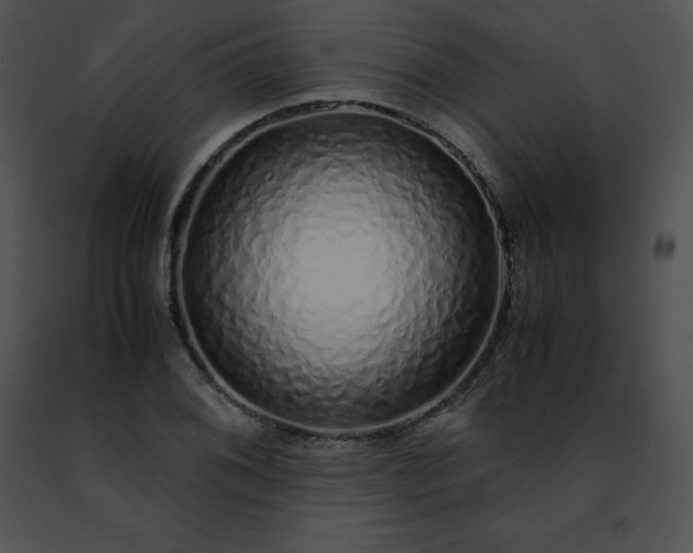 X0000091491076200708301931