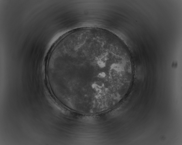 X0000091491078200708301931