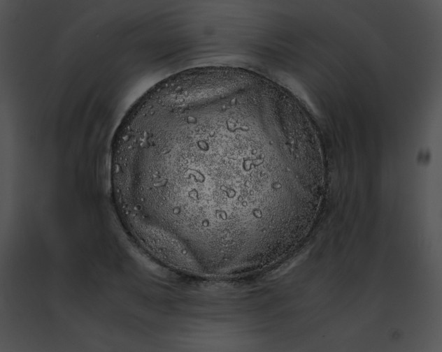 X0000091491079200708301931