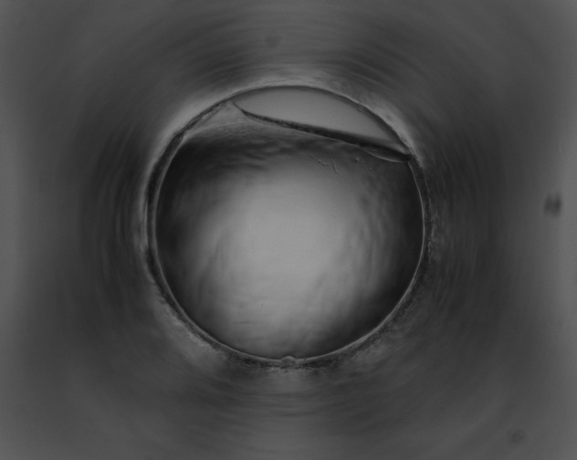 X0000091491080200708301931