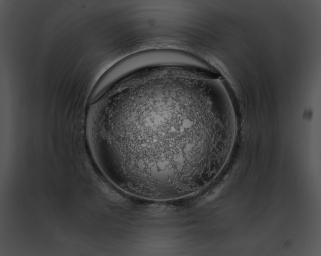 X0000091491081200708301931