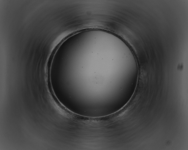 X0000091491082200708301931