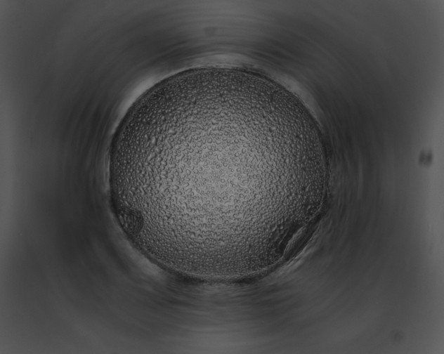 X0000091491083200708301931