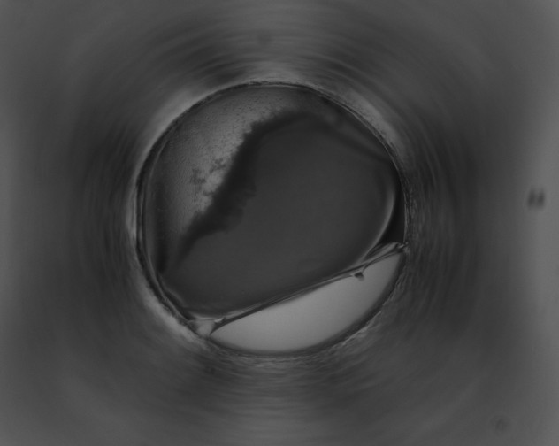 X0000091491084200708301931