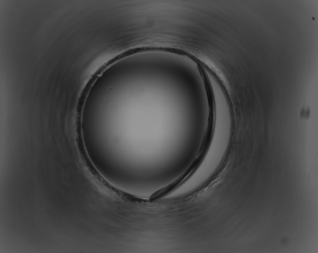 X0000091491085200708301931